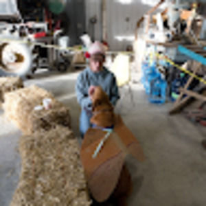 Meet your Posher, Amy